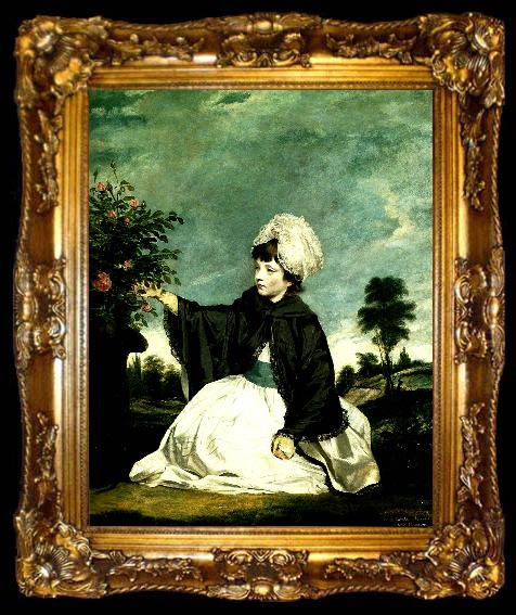 framed  Sir Joshua Reynolds lady caroline howard, ta009-2